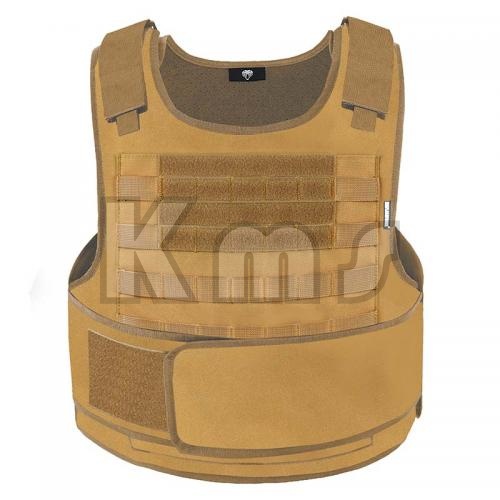 plate carrier in airsoft