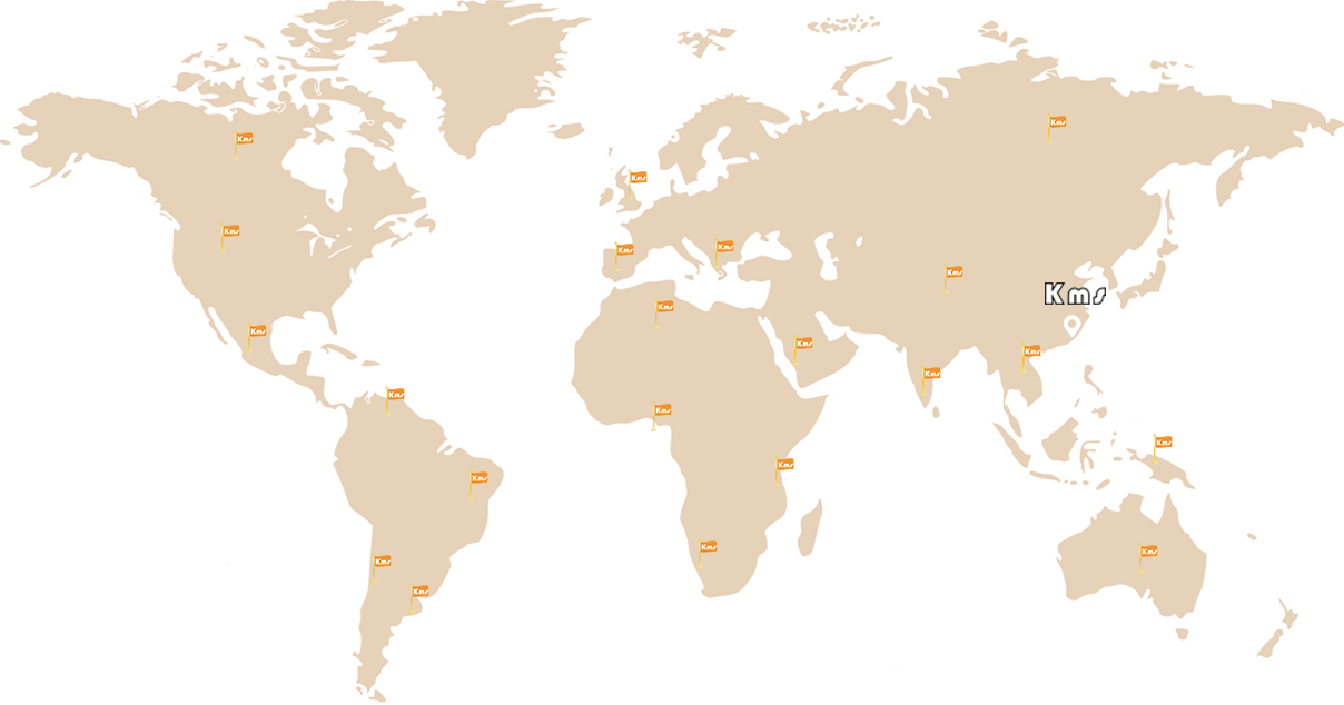 PROYECTO GLOBAL
